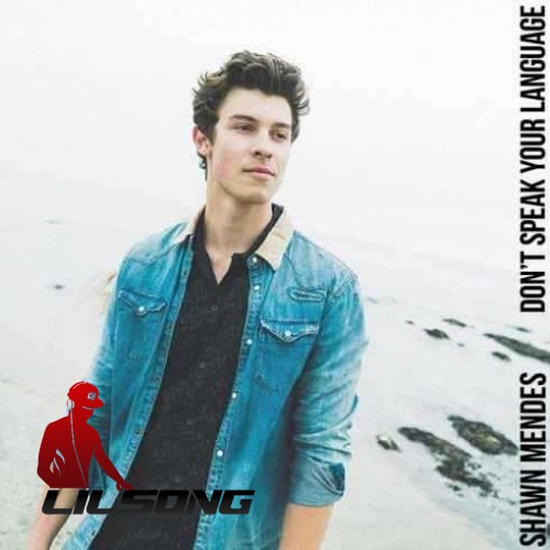 Shawn Mendes - Dont Speak Your Language